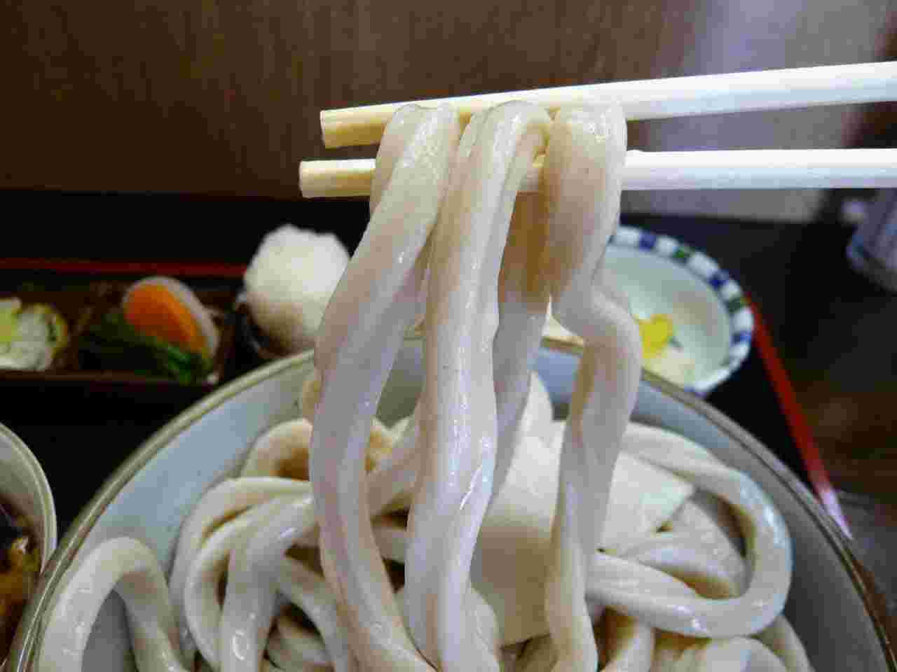 太くてコシが強く噛み応えがありそうなうどん