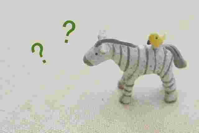 考えるシマウマの画像
