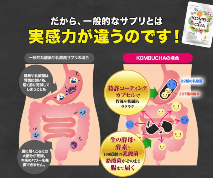 腸に届くカプセルの説明