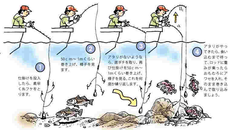 銅付き釣りでの釣り方