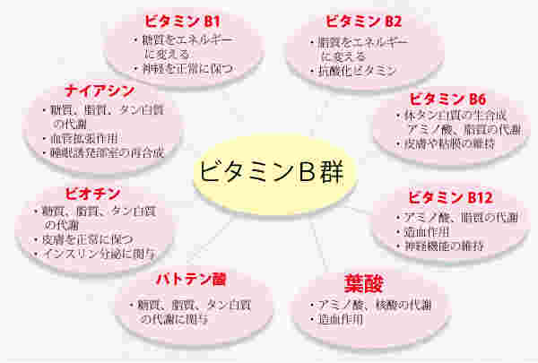 ビタミンB群の表
