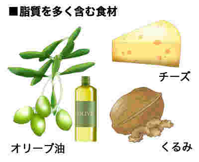 脂質を多く含む食品