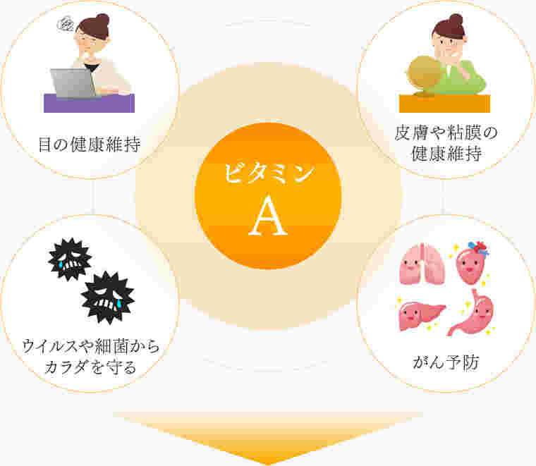 ビタミンAの働きのイラスト
