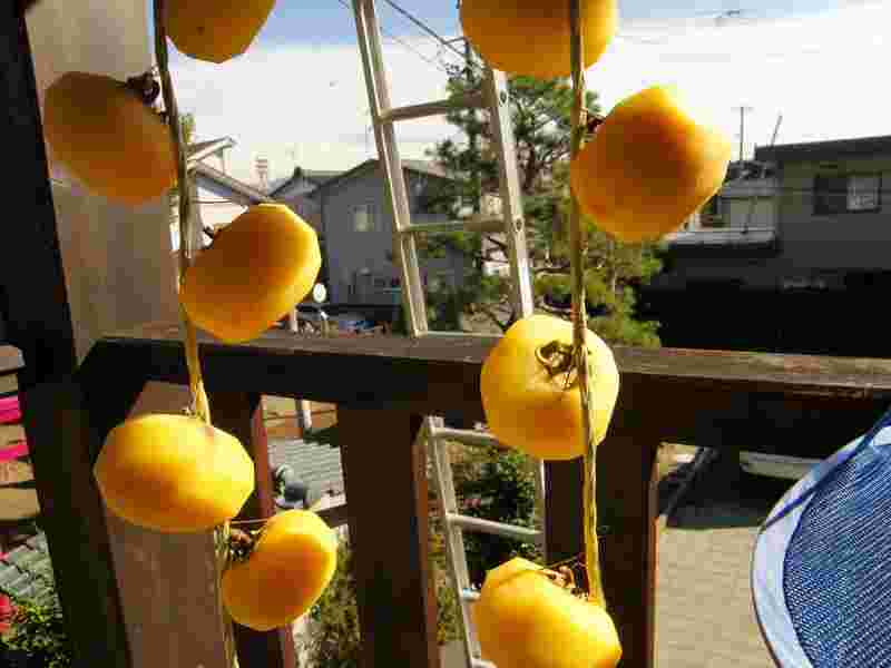 干し柿の干し方