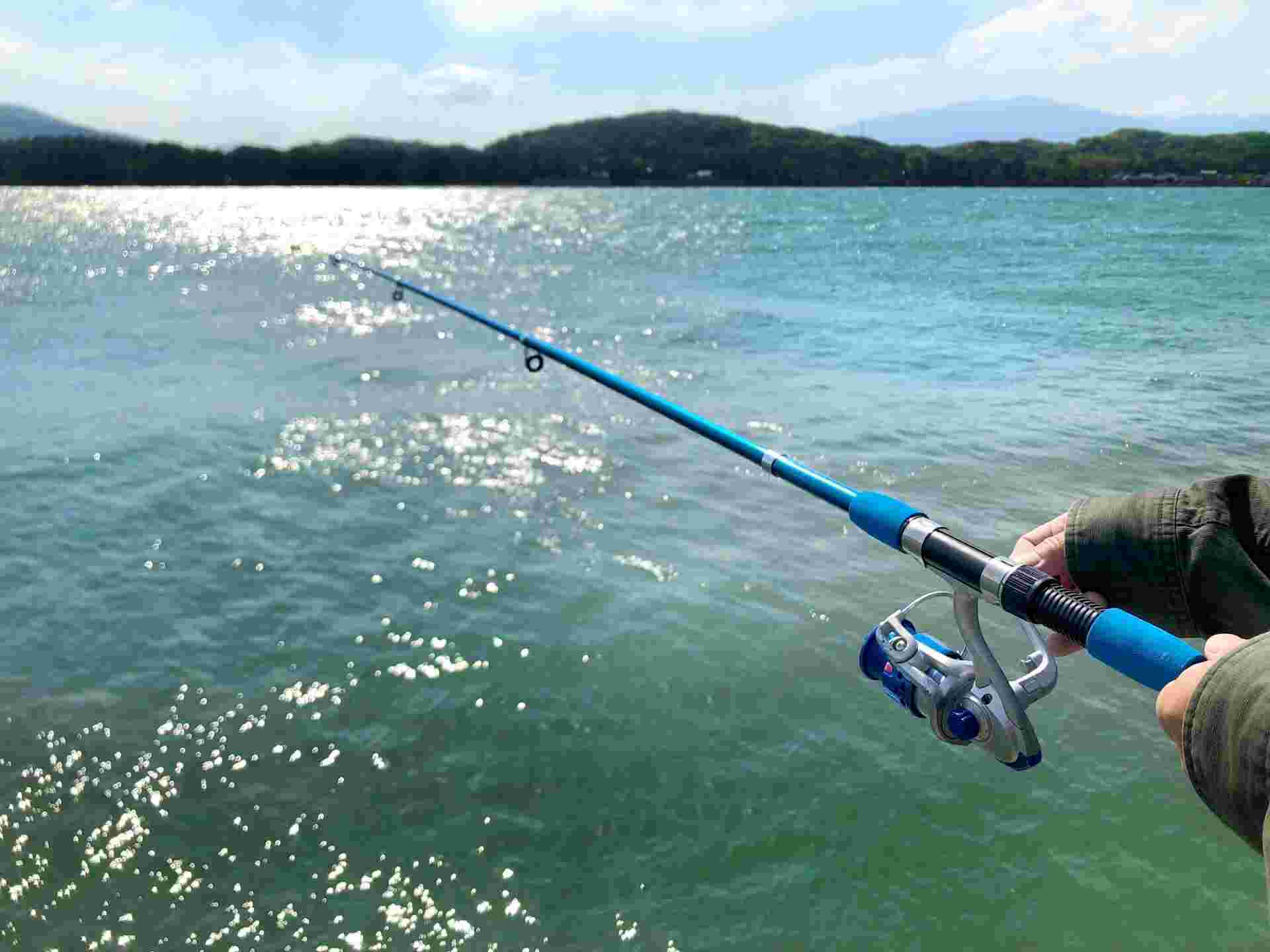 北日本ヌマガレイ釣り