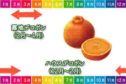 旬の時期