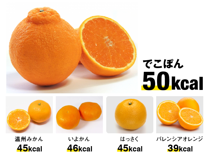 デコポンのカロリー