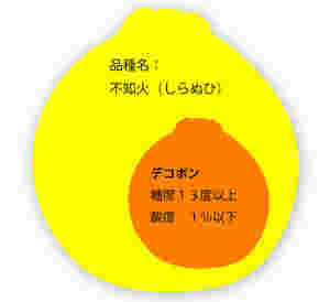 デコポンと不知火の違い
