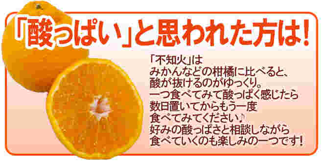 不知火は酸っぱい