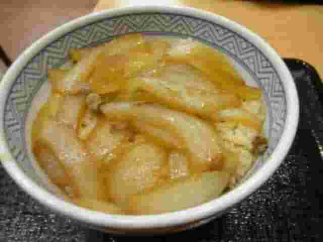 「ねぎだけ」の牛丼