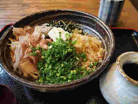 ねぎや花かつおがのったうどんの画像
