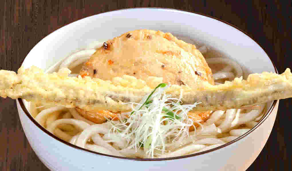 ごぼう天がのったうどん画像