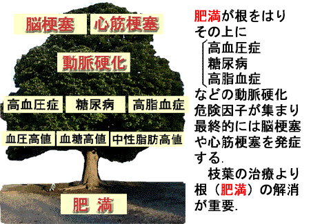 コレステロールを調整して高血圧や動脈硬化予防する事が大事と書いている図