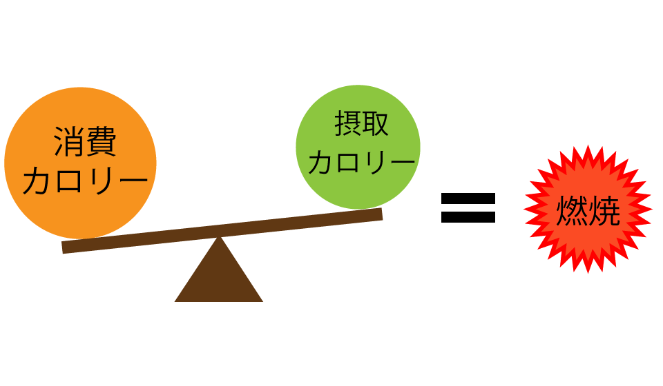 総摂取カロリーが高いが摂取カロリーより高いと燃えないという図