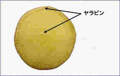 さつまいものヤラピン
