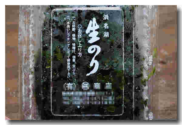 生のり
