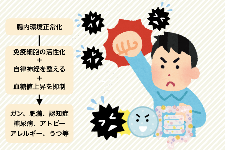 腸内環境を整えてがんを退治する男性