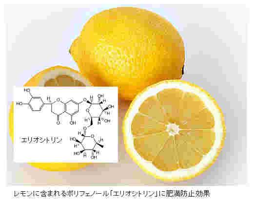 レモンとエリオシトリンの構造式