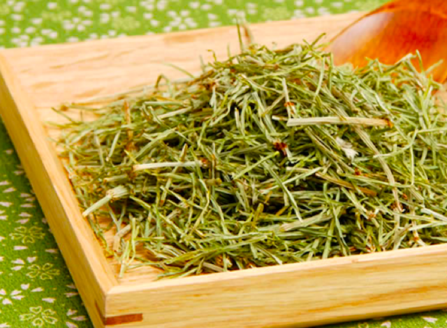 スギナ茶の茶葉