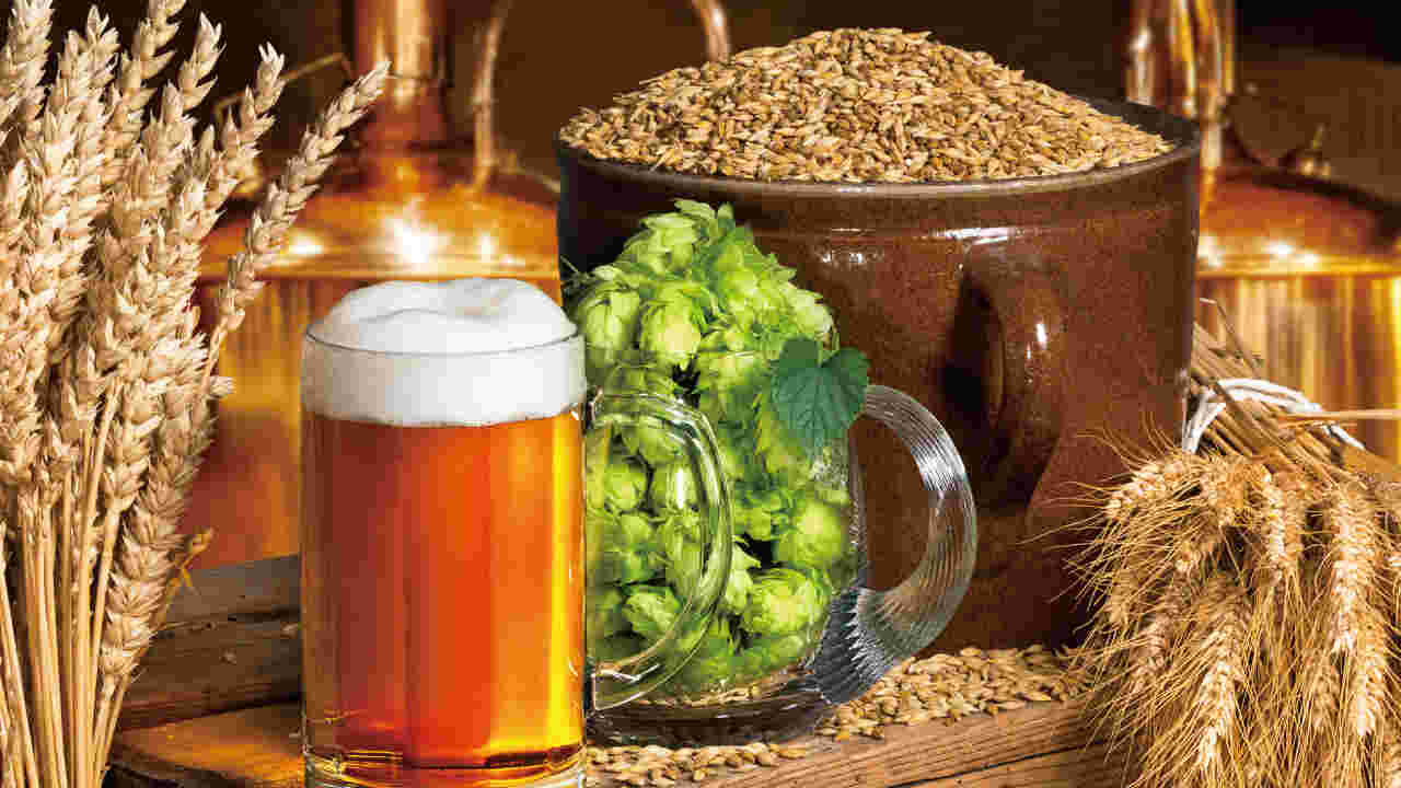 麦・ビール・ホップが並ぶ画像
