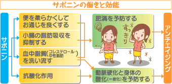大豆サポニンの働きと効能の図表