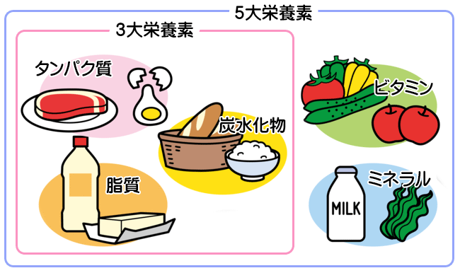 三大栄養素と五大栄養素