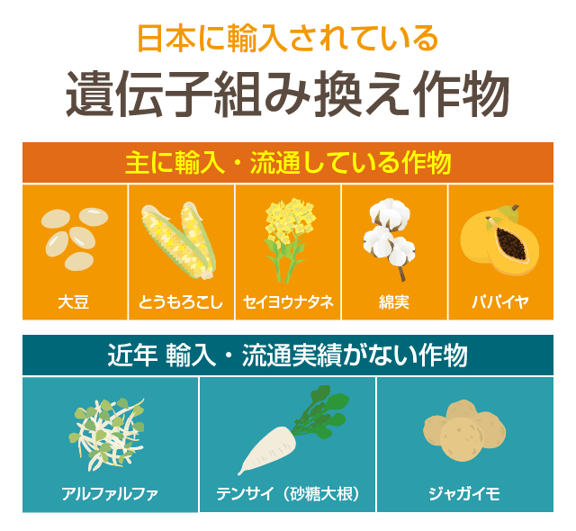 日本に輸入されている遺伝子組み換え作物