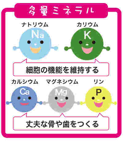 ミネラルの働きについて分かりやすく解説している画像