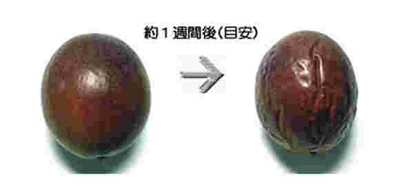しわのでてきたパッションフルーツ