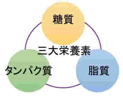 3大栄養素の表