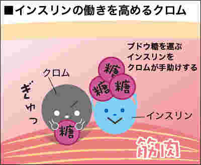 インスリンの働きを高めるクロムの図