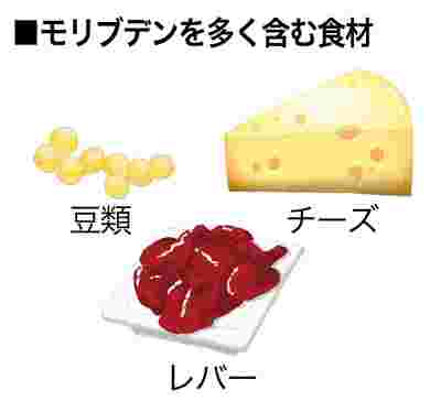 豆類やチーズ、レバーといったモリブデンを多く含んだ食材たち