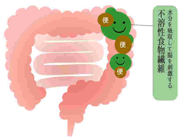 不溶性食物繊維の働き