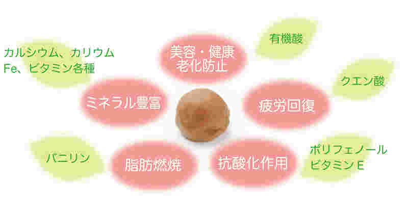 梅は健康に効果的