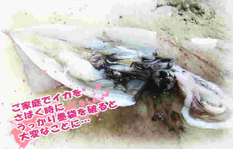 生イカを捌いて周りにイカ墨が飛び散っているのが汚く見える