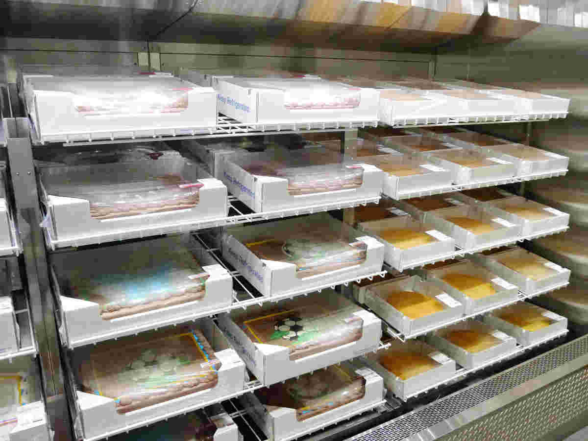 コストコの冷蔵ケーキ売り場