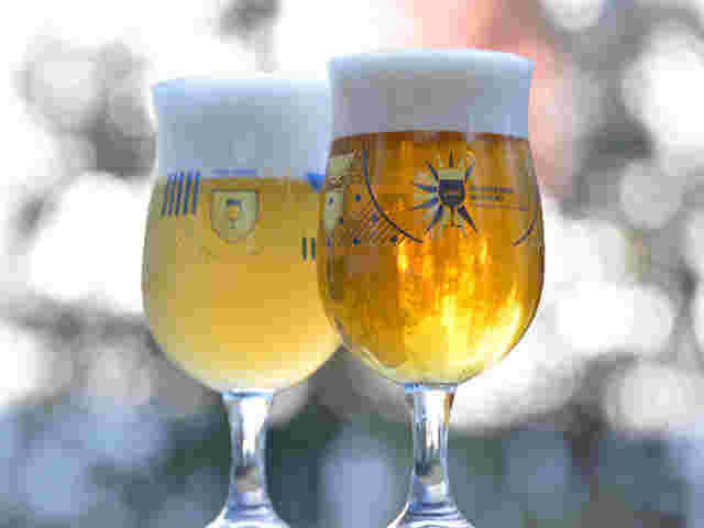 ホワイトビール