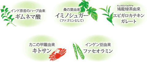 大人のカロリミットに入っている成分