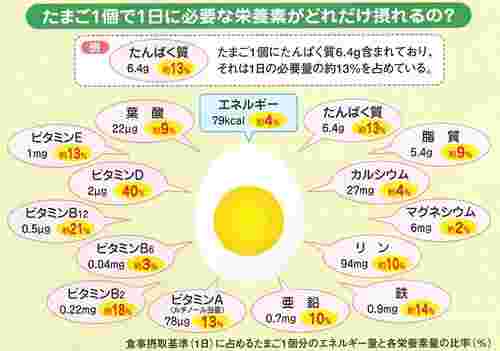 卵に含まれている栄養素の図解