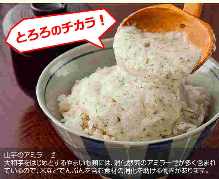 山芋のアミラーゼの説明