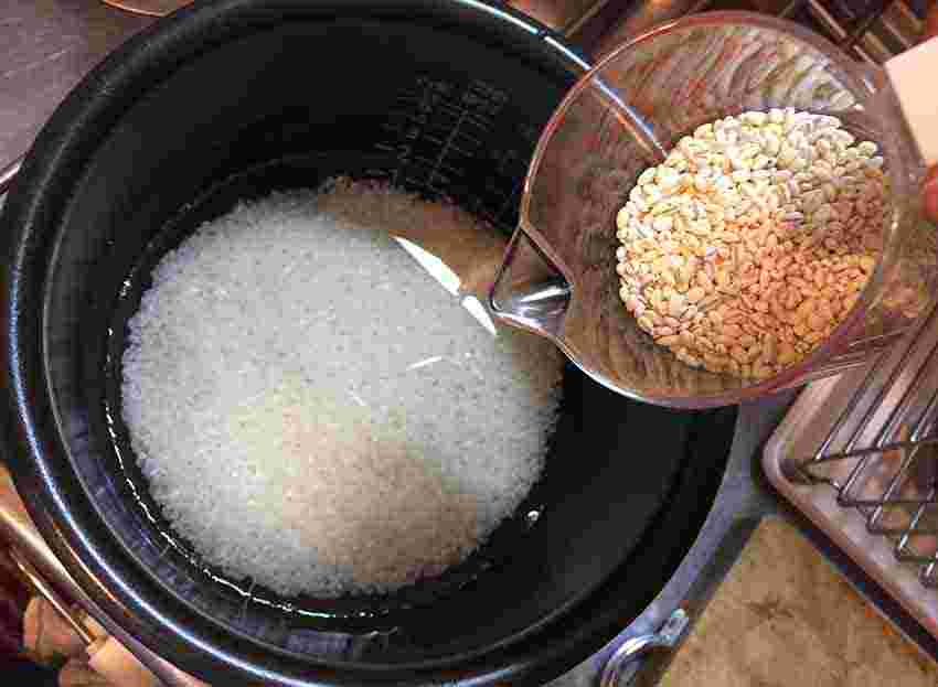 炊飯器に入っている白米の元へ押し麦を入れる
