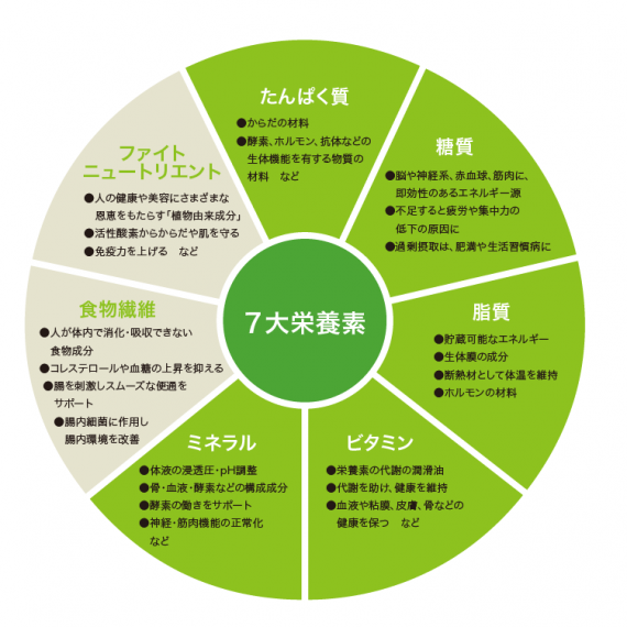 栄養素の表