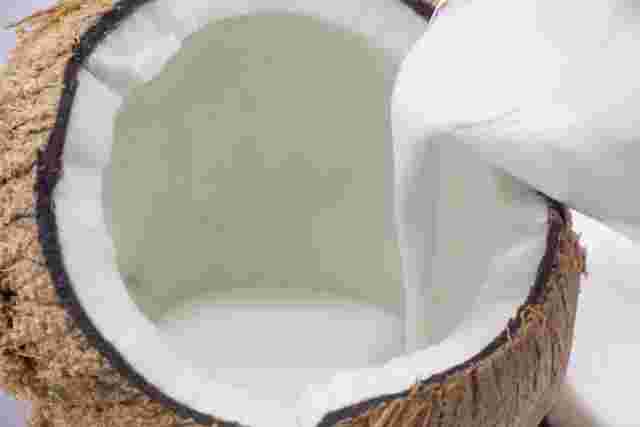 ココナッツの実にココナッツミルクを注いでいる