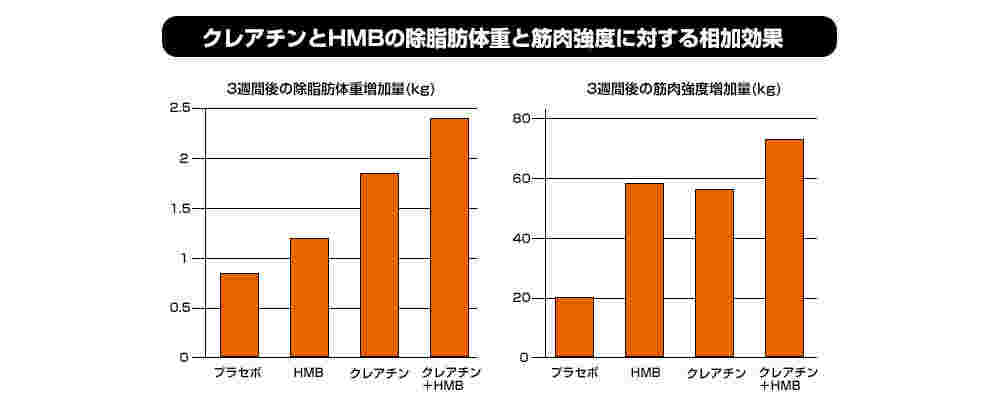クレアチンとHMBの相乗効果