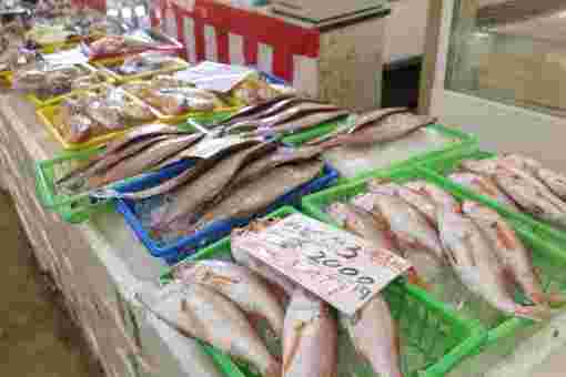 新鮮な魚が並ぶ魚市場