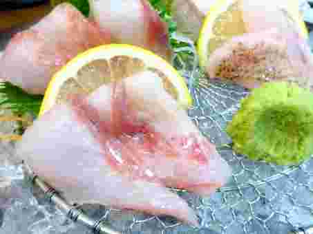 脂ののったのどぐろの刺身