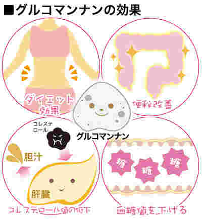 グルコマンナンの健康やダイエットに良いさまざまな効果
