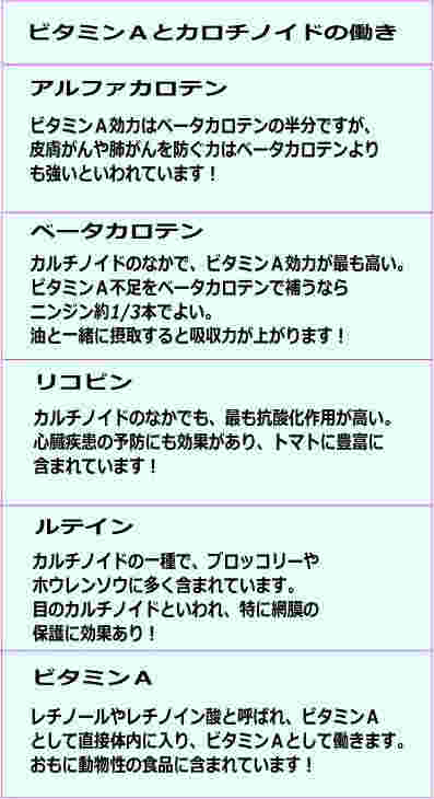 ビタミンAとカロチノイドの働き