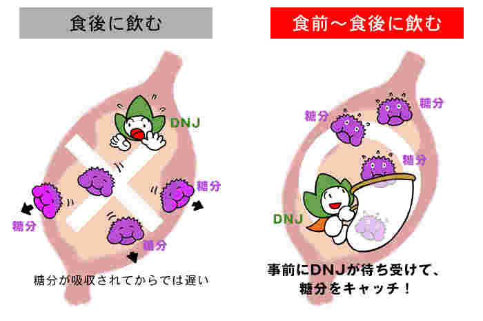 食前に飲むメリット図