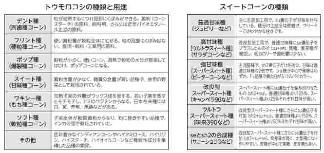 トウモロコシの品種とその特徴や用途